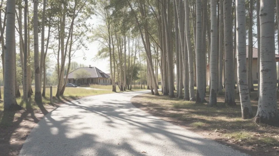 Jak aktywność fizyczna wpływa na wydalanie szczawianów?