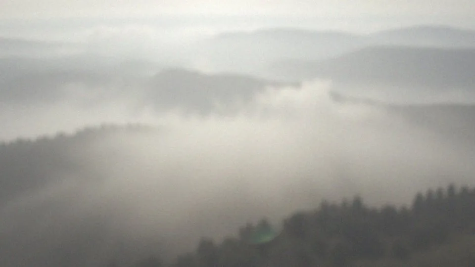 Jakie emocje towarzyszą spadaniu w snach?