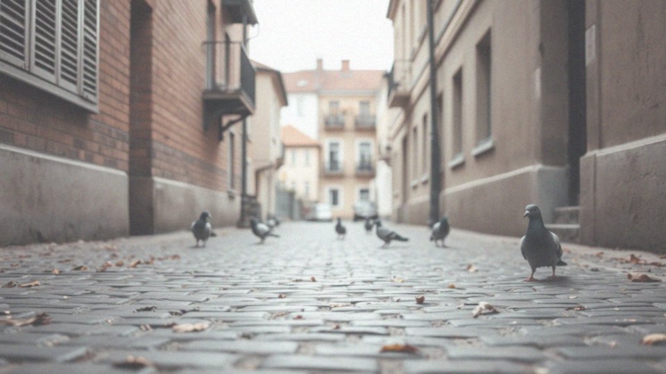 Jak zgłaszać problem z gołębiami do odpowiednich organów?