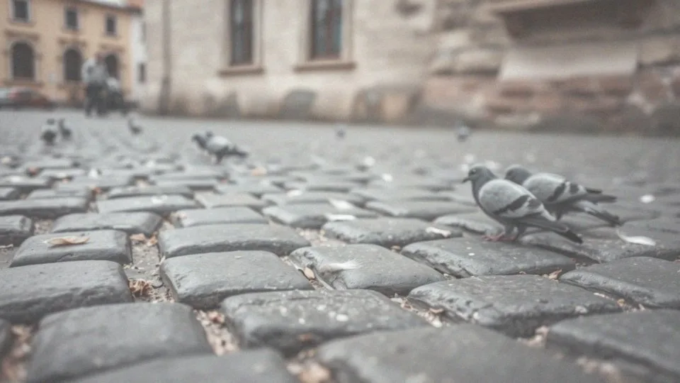 Czy gołębie przenoszą choroby? Najważniejsze informacje i zagrożenia