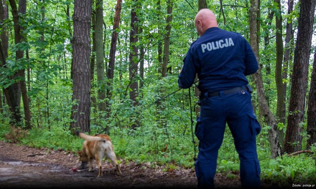 Komendant Główny Policji wzywa do profesjonalizmu w czasie Święta Niepodległości