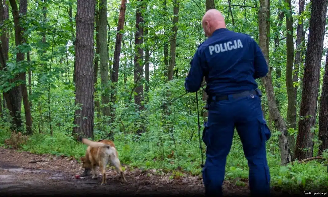 Wypadek z udziałem motoroweru w Borkowie – apel o rozwagę na drogach